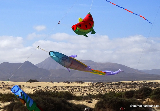 23-11-11-corralejo-ikf-235