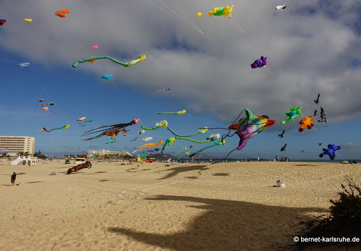 23-11-11-corralejo-ikf-272