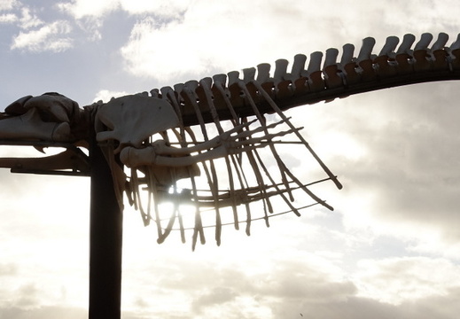 23-11-07-pdr-skulptur-007