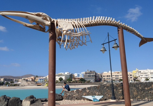 23-11-08-pdr-am meer-sturm-015