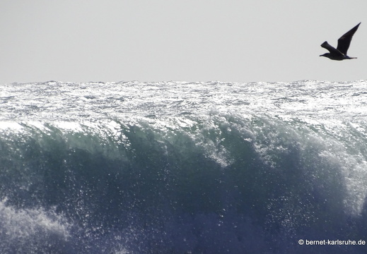 23-11-08-pdr-am meer-sturm-053