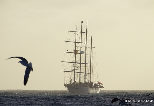 23-11-09-pdr-segelschiff-starflyer-moewen-007