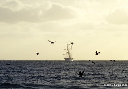 23-11-09-pdr-segelschiff-starflyer-008
