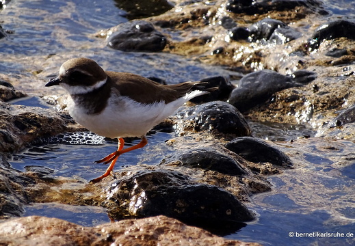 23-11-24-pdr-strand-073