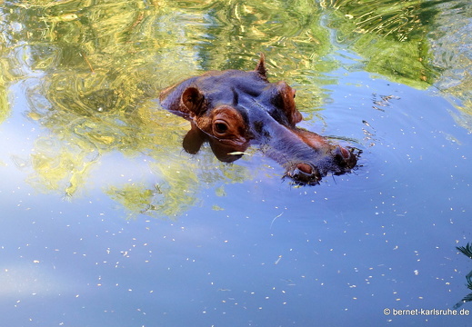 23-11-19-oasis park-062