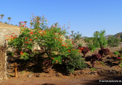 23-11-19-oasis park-095