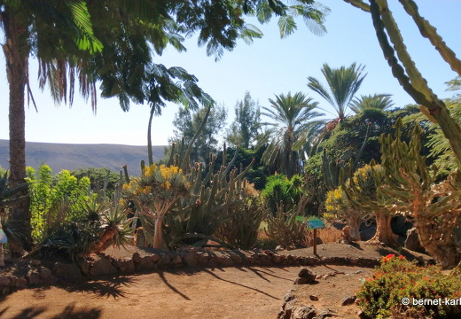 23-11-19-oasis park-127