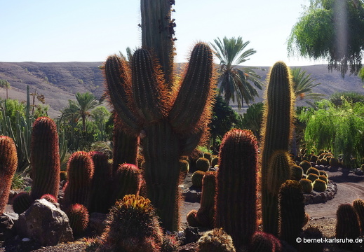 23-11-19-oasis park-150