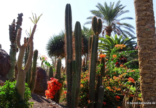 23-11-19-oasis park-196