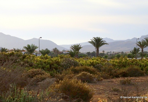 23-11-21-antigua-055