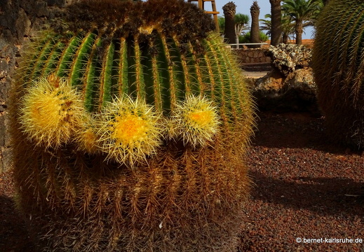 23-11-21-antigua-100