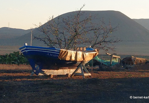 23-11-28-villaverde-laoliva-016