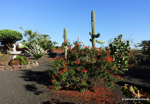 23-11-28-villaverde-laoliva-055