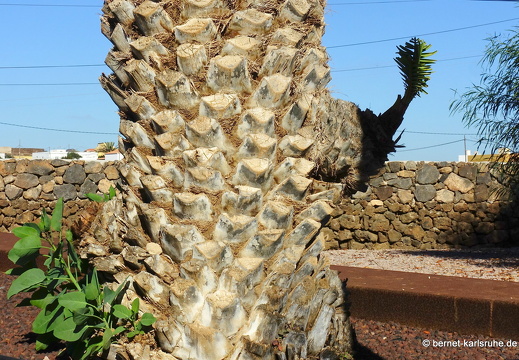 23-11-28-villaverde-laoliva-101