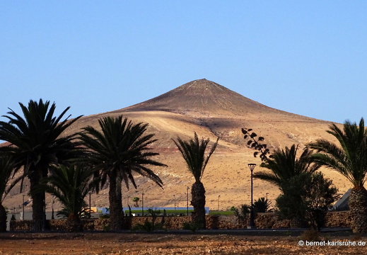 23-11-28-villaverde-laoliva-202