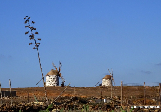 23-11-28-villaverde-laoliva-muehle-003