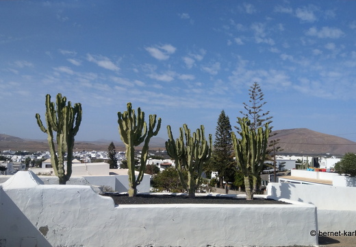 24-02-05-tahiche-la maria-017