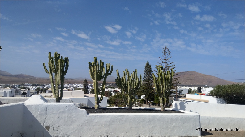 24-02-05-tahiche-la maria-017.jpg