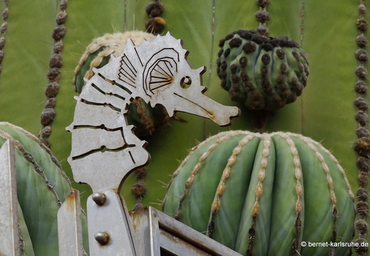 24-02-09-tahiche-016