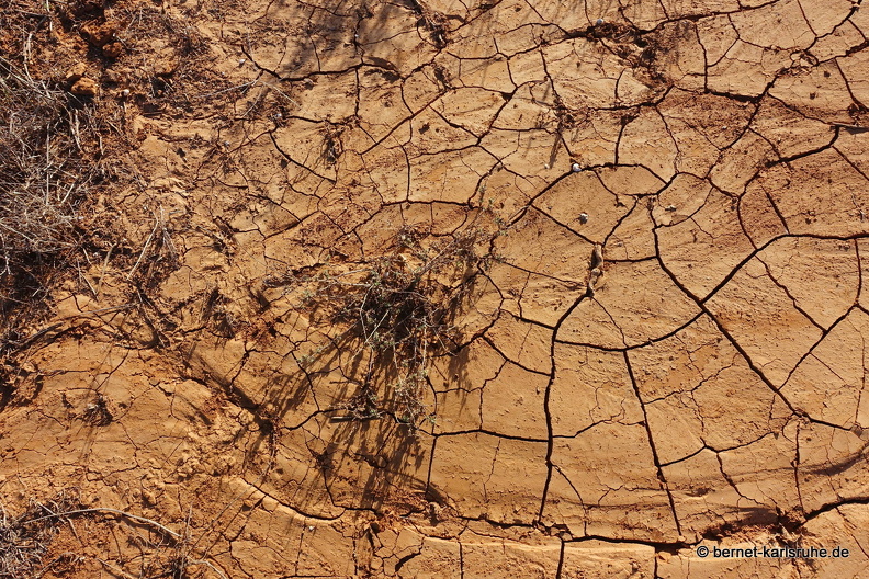 24-03-07-tahiche-las cabreras-003.jpg