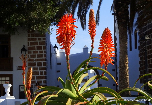 Teguise