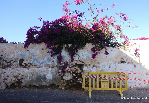 24-02-02-teguise-040