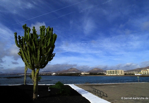 24-02-10-arrecife-072