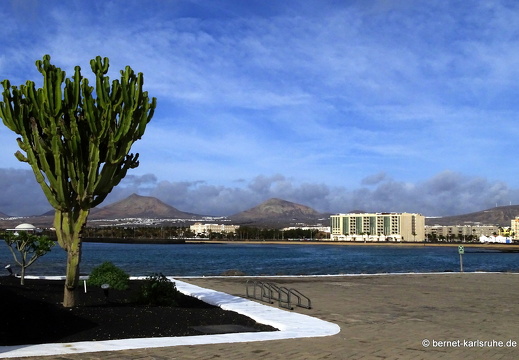 24-02-10-arrecife-078