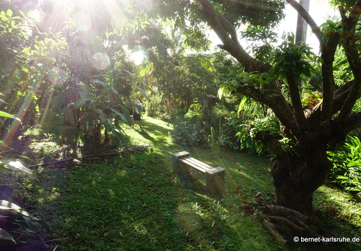20-01-17-smithys garden-003