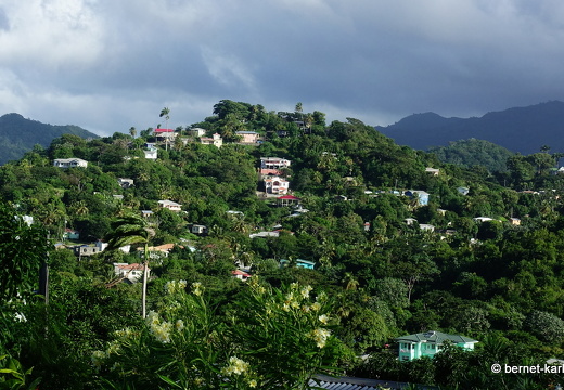 20-01-11-smithys garden-aussicht-