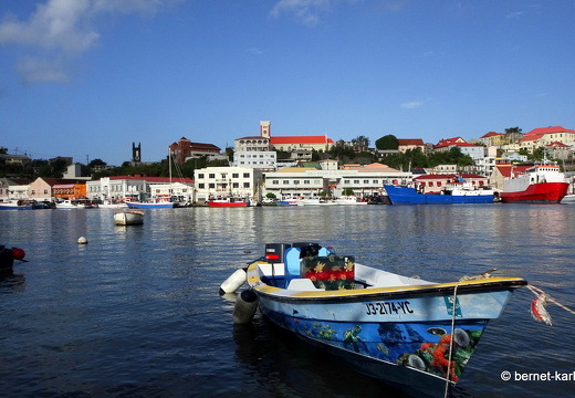 20-01-14-saint georges-carenage-012