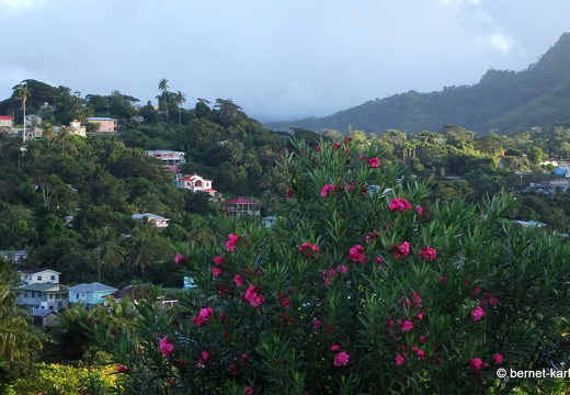 20-01-18-morne jaloux ridge-weg-fort frederick-aussicht-002