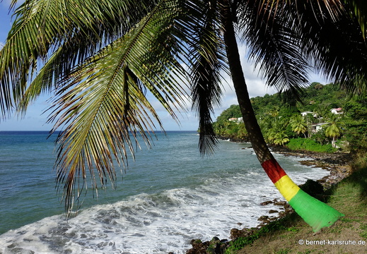 20-01-20-crayfishbay-074