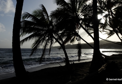 20-02-01-sauteurs-petite anse-006