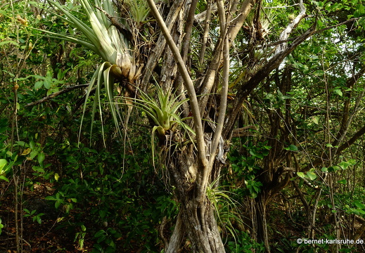 20-02-04-beckemoui-spaziergang zum strand-020