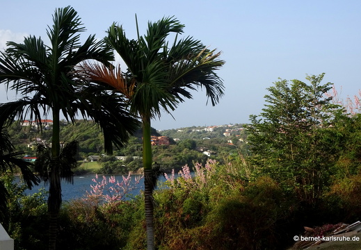 20-02-04-westerhall-017