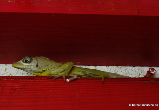 20-02-04-westerhall-echse-wohnung-