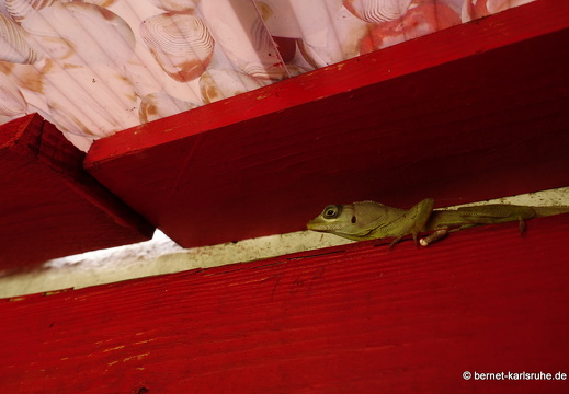 20-02-04-westerhall-echse-wohnung-001