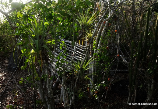 20-02-05-westerhall-beckemoui-spaziergang zum strand-016