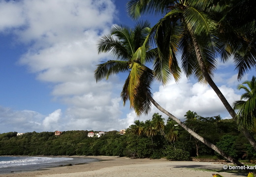 20-02-06-la sagesse-008