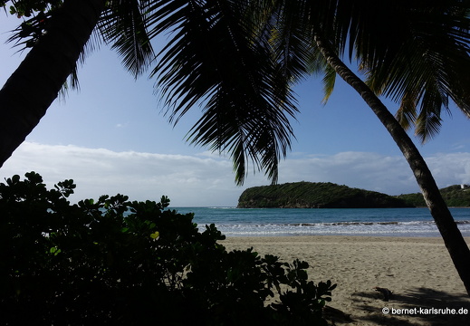 20-02-06-la sagesse-056