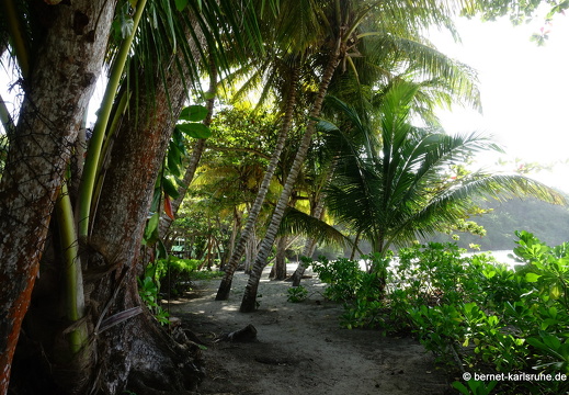 20-02-06-la sagesse-058