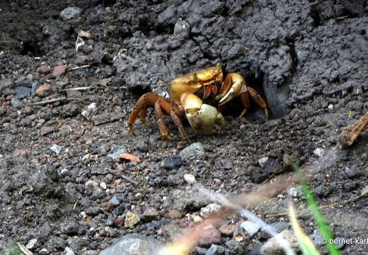 20-02-06-la sagesse-078