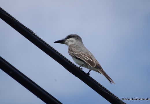 20-02-06-la sagesse-091