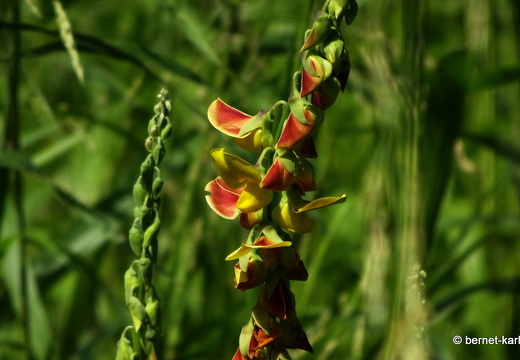 20-02-06-la sagesse-nationalfarben-001