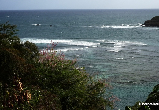 20-02-07-westerhall-beckemoui-spaziergang zum strand-001