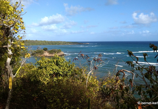 20-02-07-westerhall-beckemoui-spaziergang zum strand-008