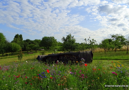 23-07-06-lindenhoehe-bauerngarten-sommerwiese-001