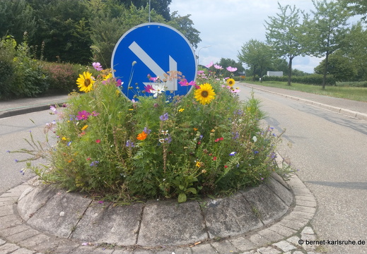 23-07-06-weingartenfriedhof-strasseninsel