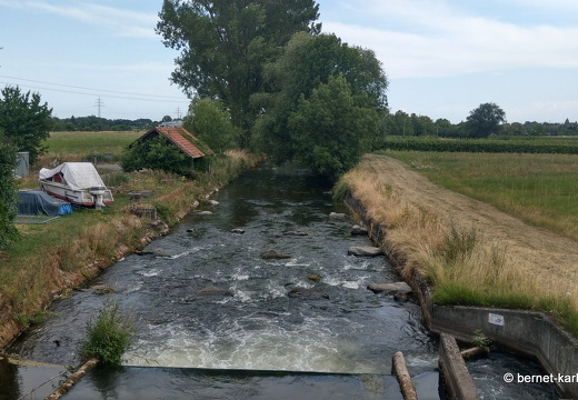 23-07-08-kinzig-am grossendeich-007